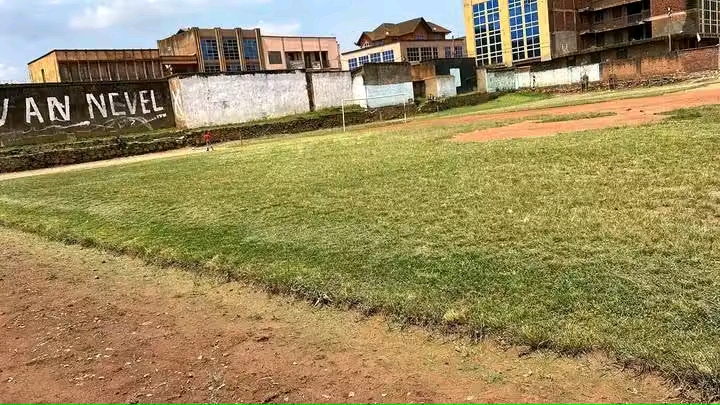 Le Stade André Van Nevel