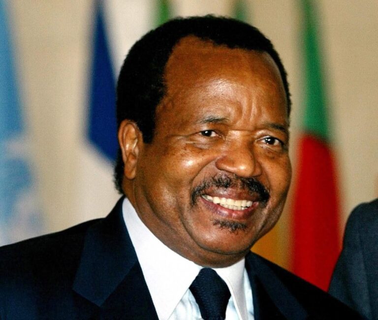 Cameroun : Paul Biya proclamé provisoirement président avec 53,66 % des ...
