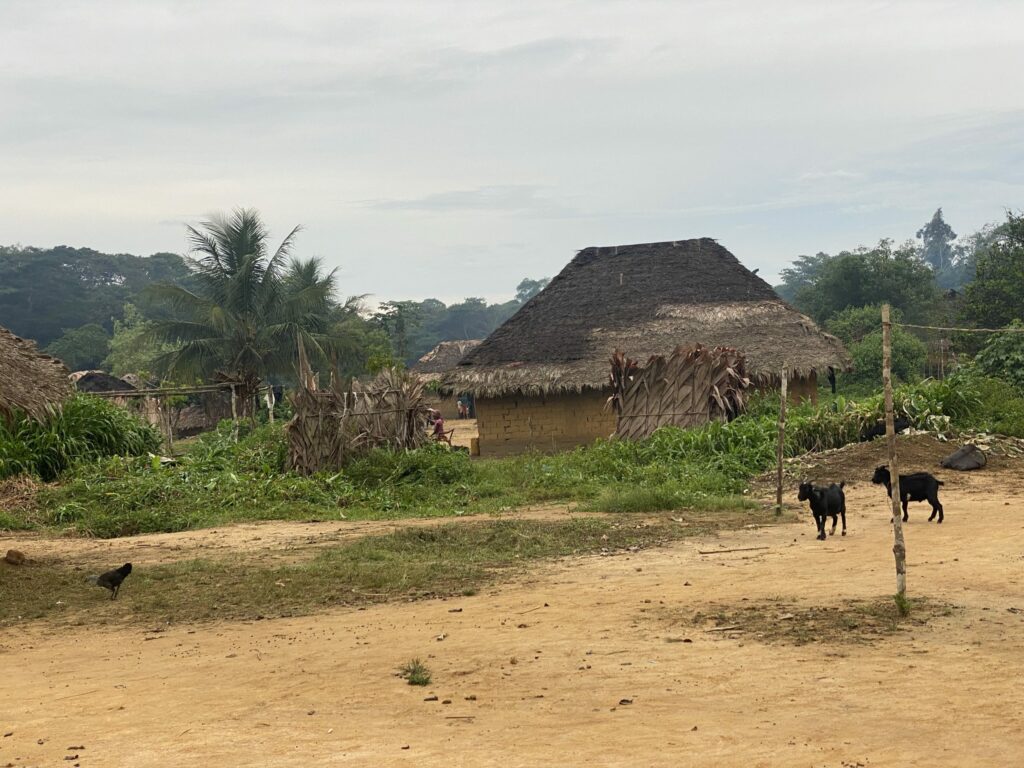 Insolite à Punia (Maniema) : un cadavre ressuscite à chaque mise en cercueil, les autorités sollicitent l’intervention d’un voyant Maniema