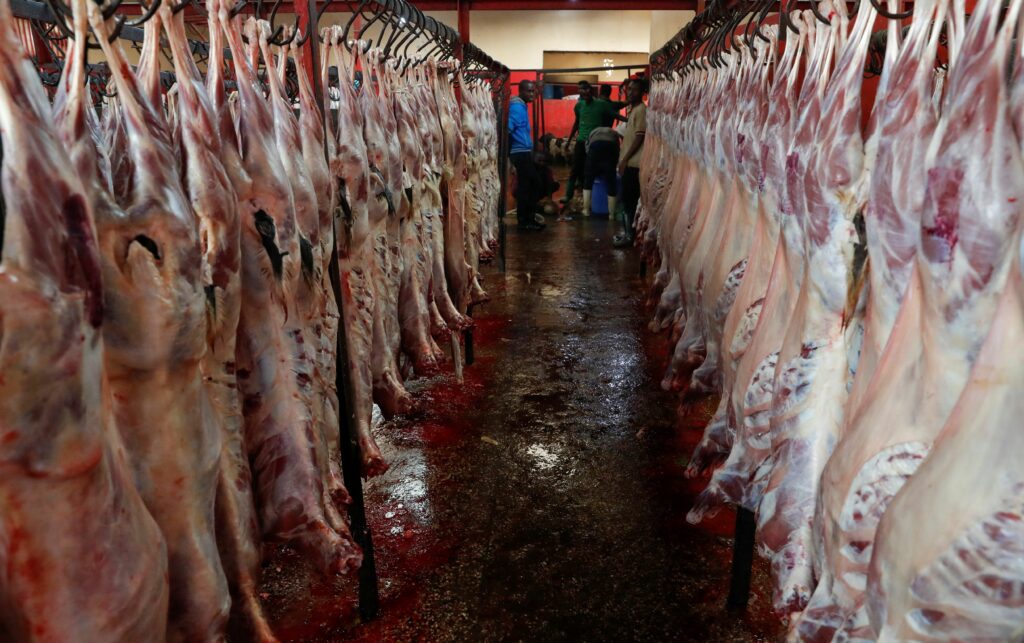 Viande du Kenya au Moyen-Orient